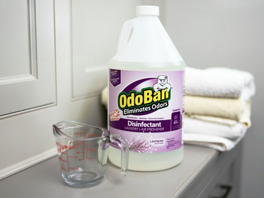 OdoBan Disinfectant & Odor Eliminator 2-Pack UNDER $12 on Amazon (Reg. $35)