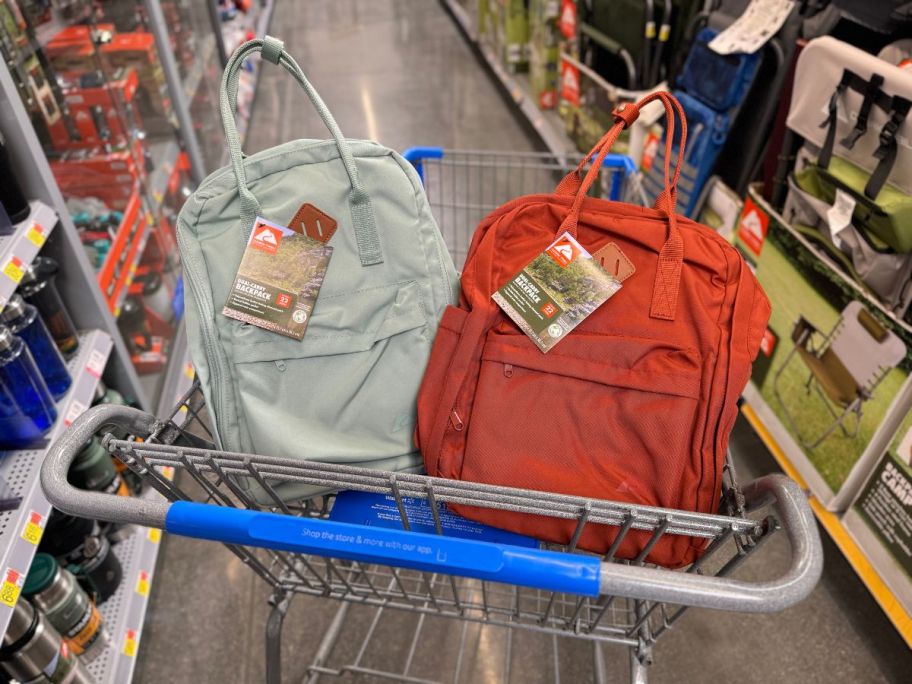 A cart containing 2 backpacks in a store