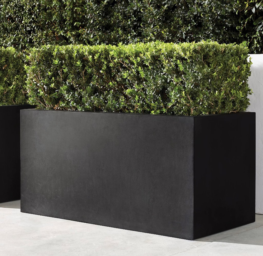 black rectangle planter with bushes inside restoration hardware patio furniture