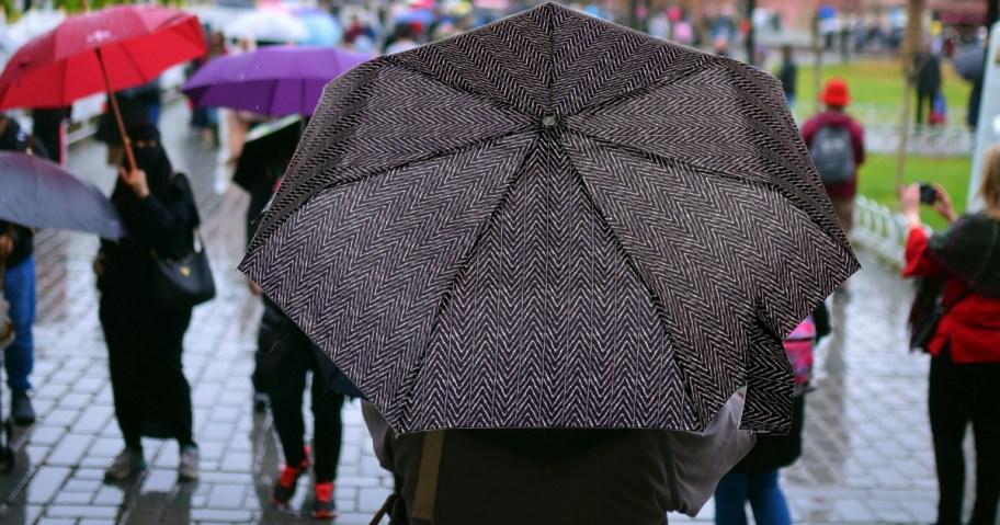 A person using a totes umbrella in the rain
