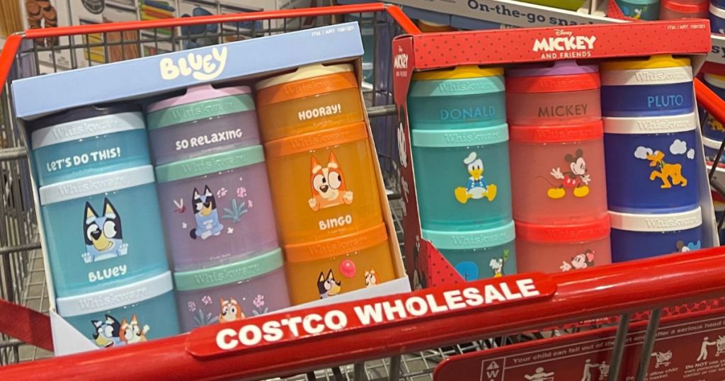 Bluey or Disney Stackable Storage Containers 3-Pack Only .99 at Costco