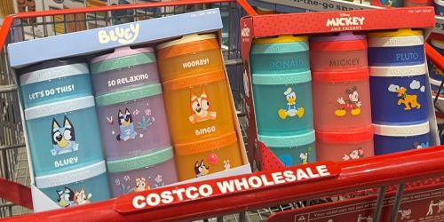 Bluey or Disney Stackable Storage Containers 3-Pack Only $19.99 at Costco