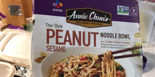 Annie Chun’s Thai-Style Noodle Bowl 6-Pack Only $9.92 Shipped on Amazon (Just $1.65 Each)