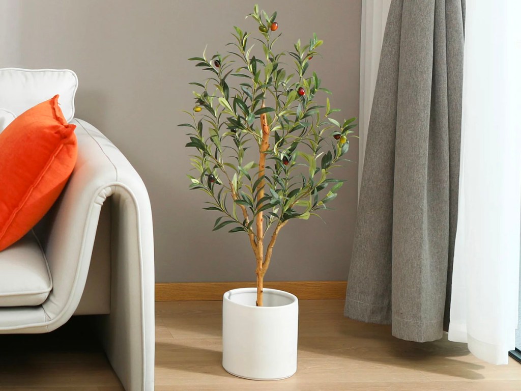 faux olive tree in white pot