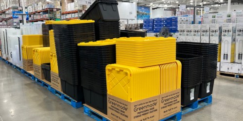 RUN! Greenmade 27-Gallon Storage Tote w/ Lid Only $7.99 at Costco