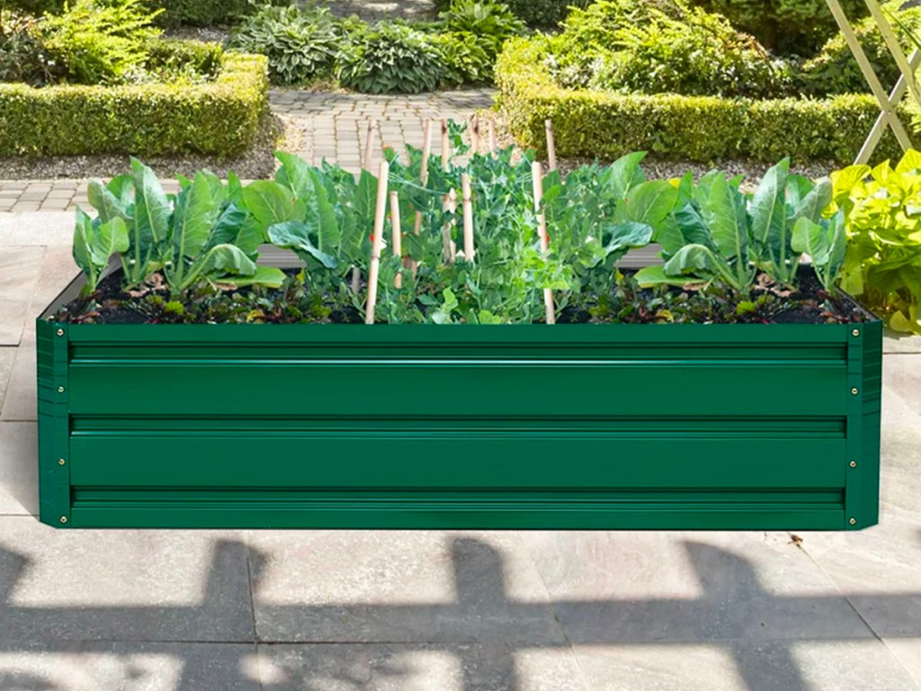 green raised garden bed with plants in it
