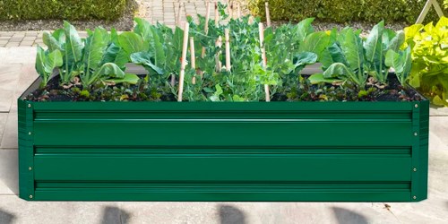 Costway Raised Garden Bed Only $36.99 Shipped on Walmart.com (Regularly $102)