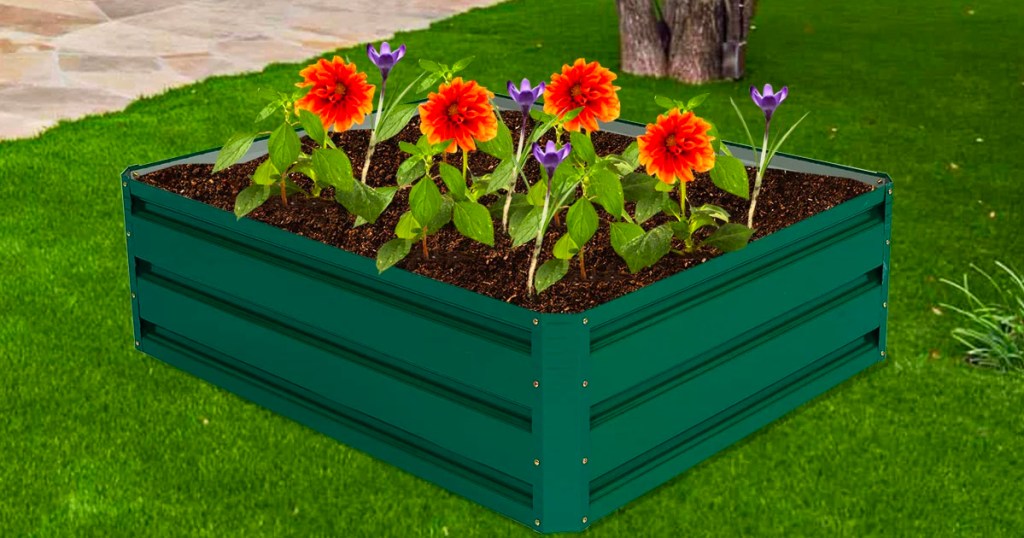 green raised garden bed with orange flowers in it