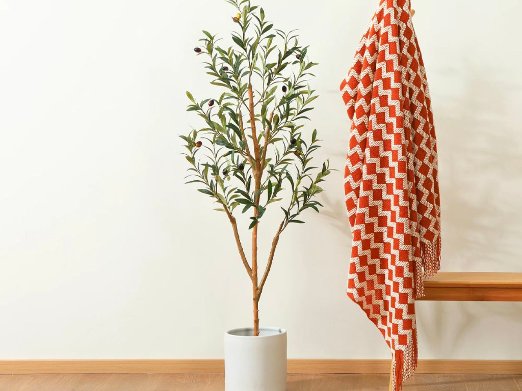 faux olive tree in white pot next to chair with red blanket