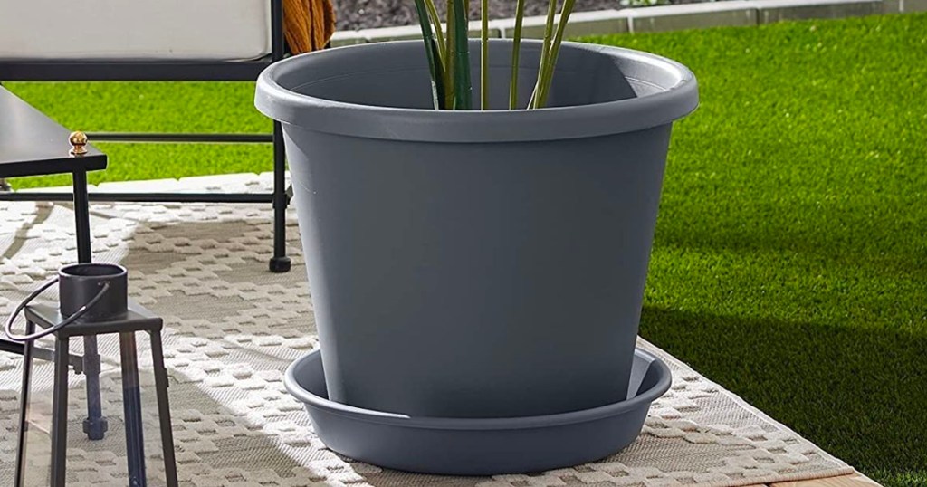 gray pot planter on patio