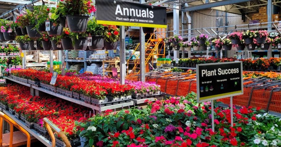 an image of the garden department where the home depot 4th of july plant sale is underway