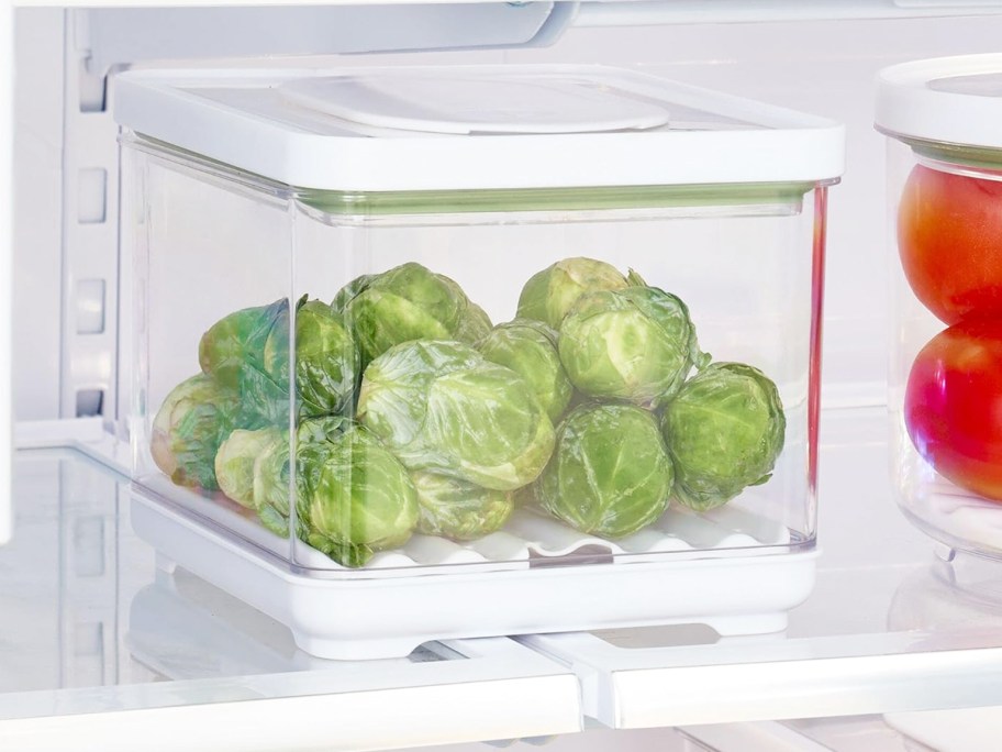 brussels sprouts in plastic storage container in fridge