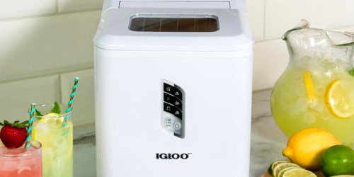 Igloo Countertop Ice Maker from $59.99 Shipped on QVC (Regularly $110) | Makes 26lbs of Ice Per Day
