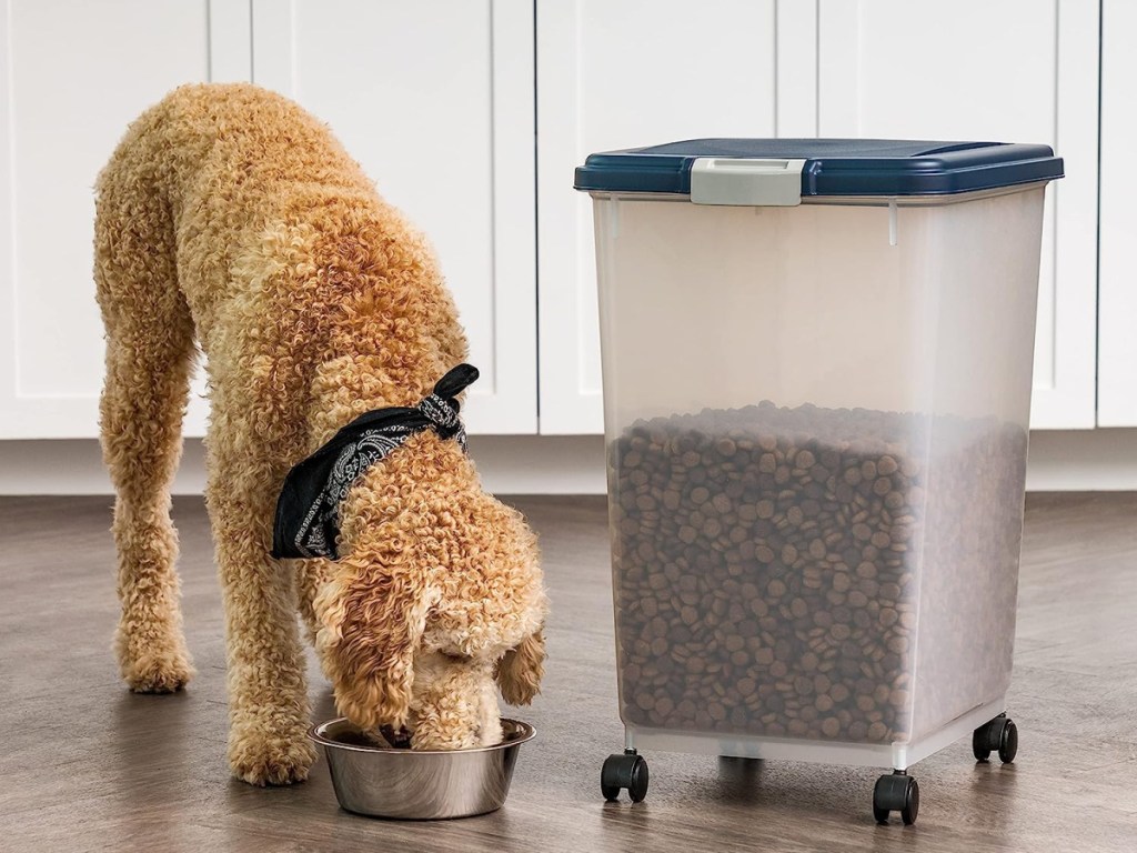 dog eating food from a bowl next to an iris pet food container