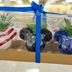 Disney 4th of July 3-Piece Faux Succulents Only $11.89 + More Kohl’s Patriotic Items