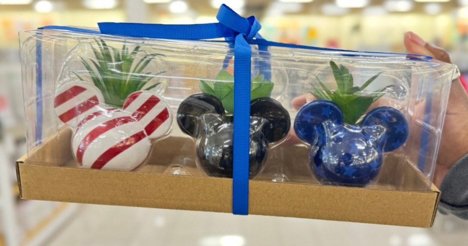 hand holding a box with Red, white & Blue Disney Mickey Mouse head succulent planters with faux succulents