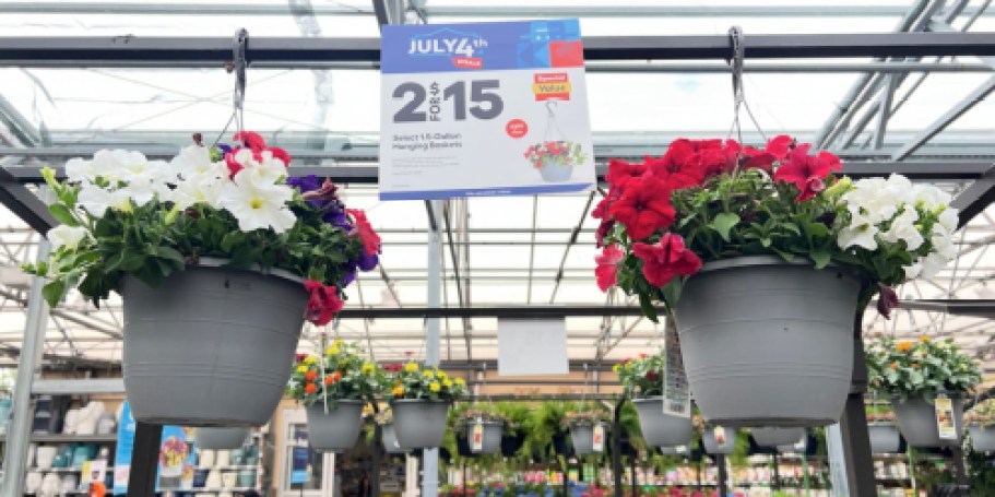 TWO Lowe’s Hanging Flower Baskets Just $15 – ONLY $7.50 Each!