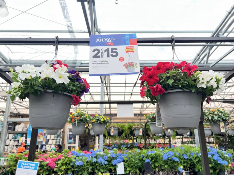 TWO Lowe’s Hanging Flower Baskets Just $15 – ONLY $7.50 Each!