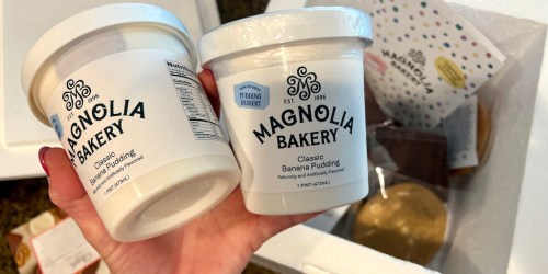 Magnolia Bakery Dessert Bundle Only $39.98 Shipped – Much Cheaper Than Flower Delivery!
