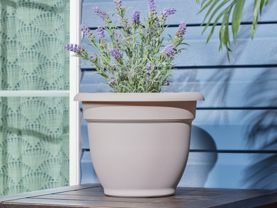  self watering planter in off white with lilac inside of it