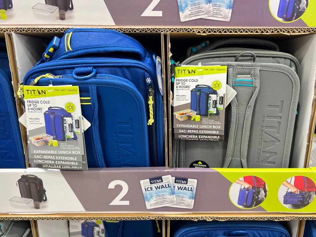 blue and gray titan collapsible lunchboxes on shelf