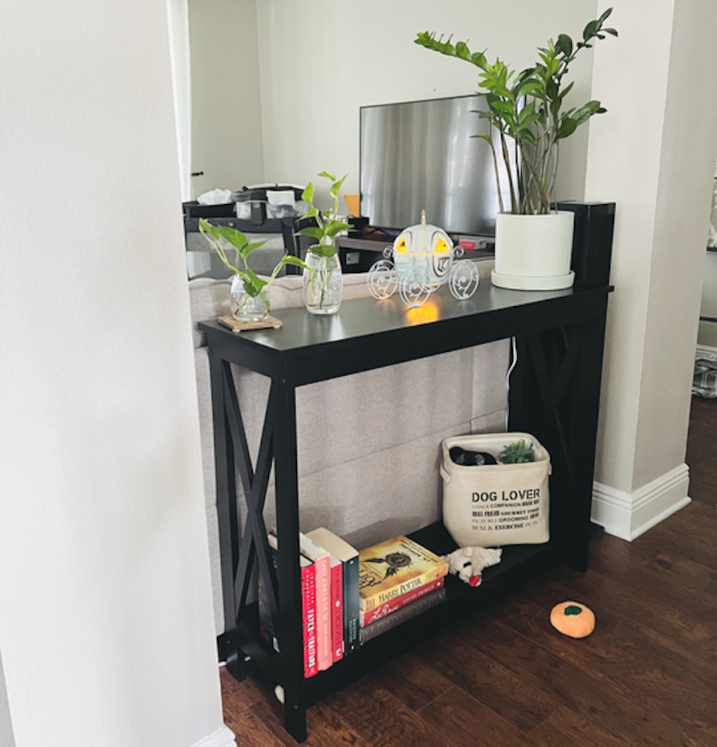 black entryway table between two pillars in living room decorated with plants and books