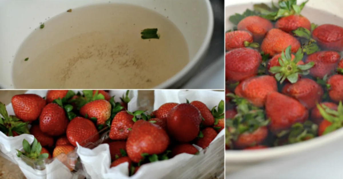 4 Hacks for How to Keep Strawberries Fresh | Hip2Save