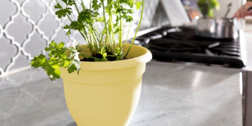50% Off Lowe’s Self-Watering Planters | Styles from $3.39
