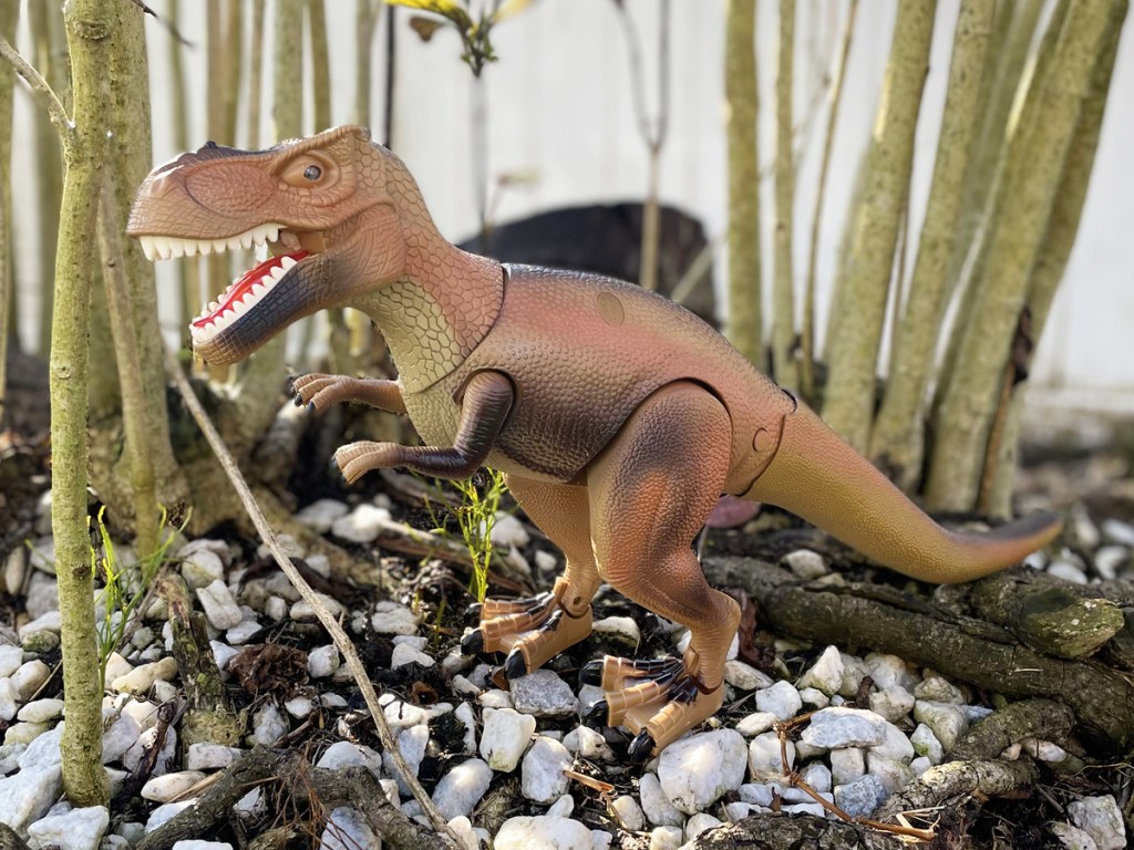 Toy dinosaur standing on rocks with plants around it