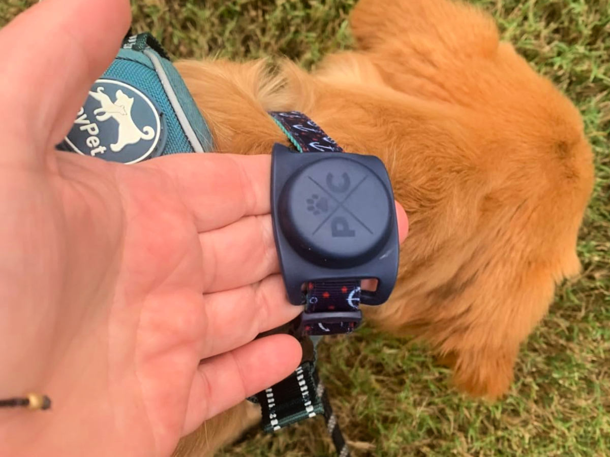 Apple AirTags 4-Pack Only $74.99 Shipped on Amazon - Attach to Keys ...