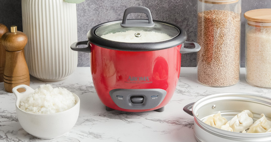 Aroma 6-Cup Rice Cooker & Steamer Only $9.99 Shipped on Woot.com