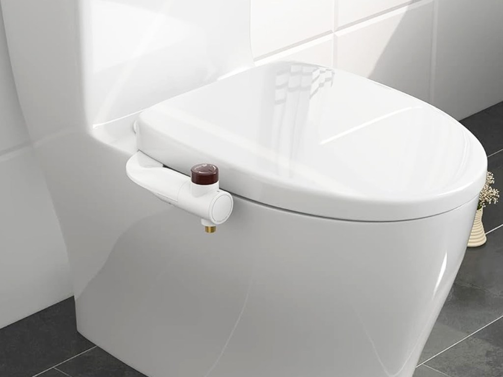 white toilet with bidet attachment