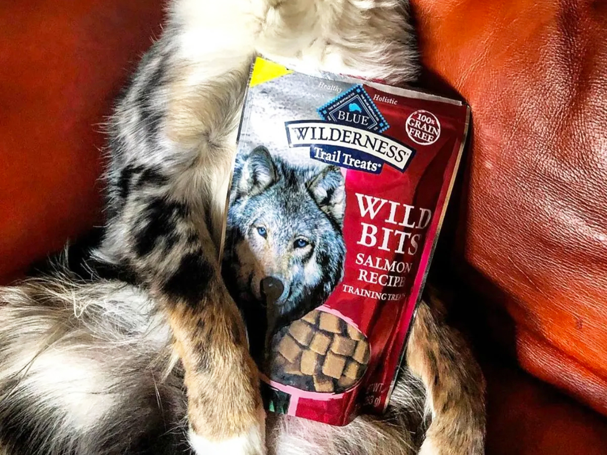 Blue Buffalo Dog Training Treats 10oz Bags from 6.99 Shipped on Amazon