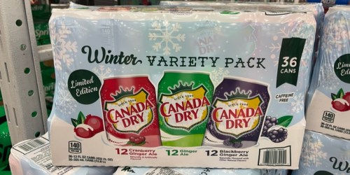 Canada Dry Ginger Ale 36-Count Winter Variety Pack Just $15.98 at Sam’s Club (Only 44¢ Each!)