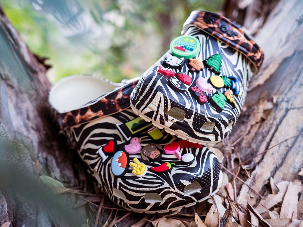 zebra print crocs clogs with tons of charms on them in a tree