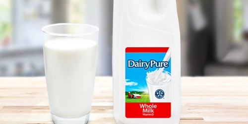 FREE Dairy Pure Milk After Cash Back at Walmart