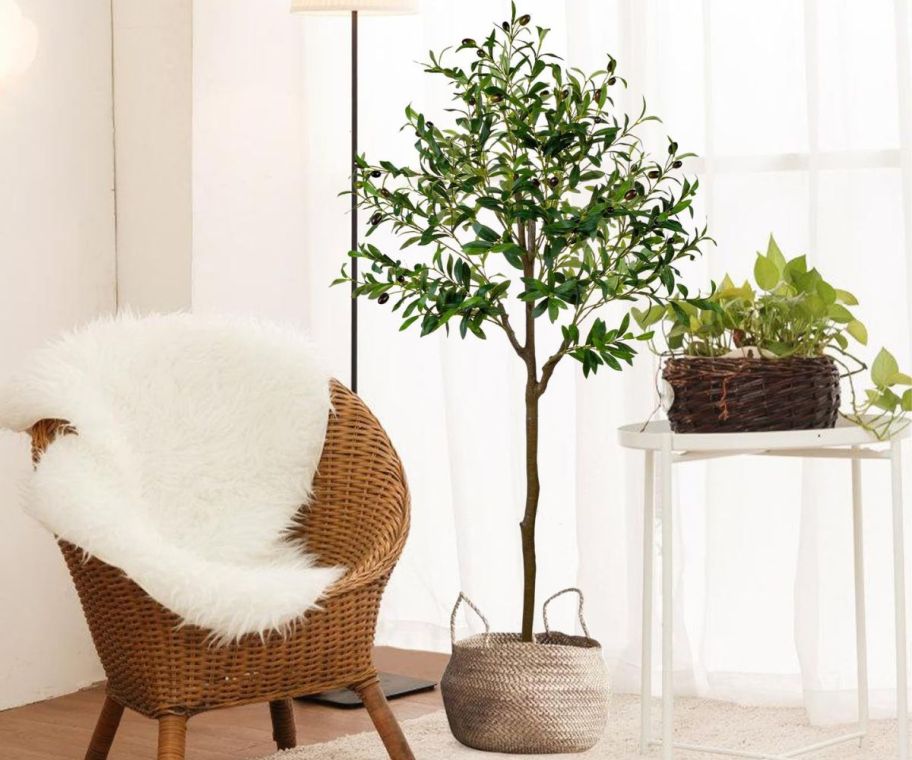 A 5 foot tall Faux Olive Tree next to a chair