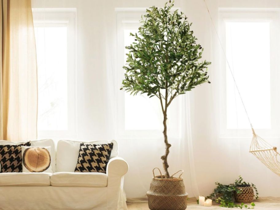 A faux olive tree in a living room