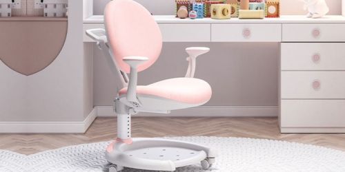 Flexispot Kids Ergonomic Study Chair Just $69.99 Shipped (Reg. $170) | Adjustable to Grow w/ Kids