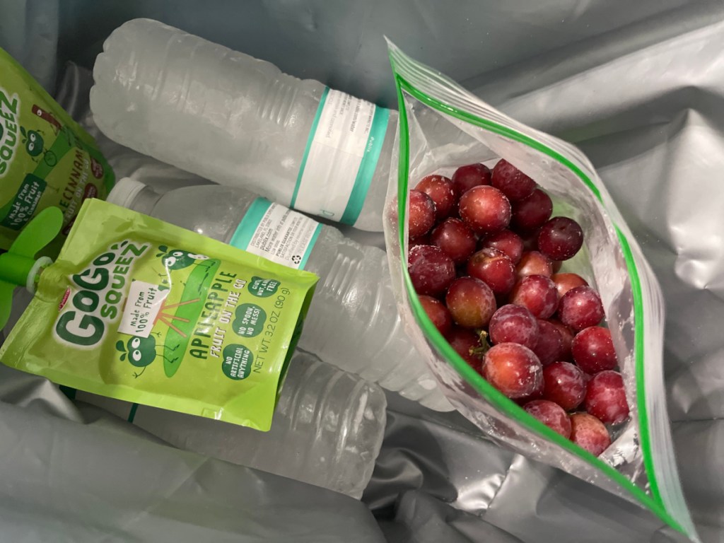 one of the most clever beach hacks is freezing your grapes and drinks like shown here in a cooler
