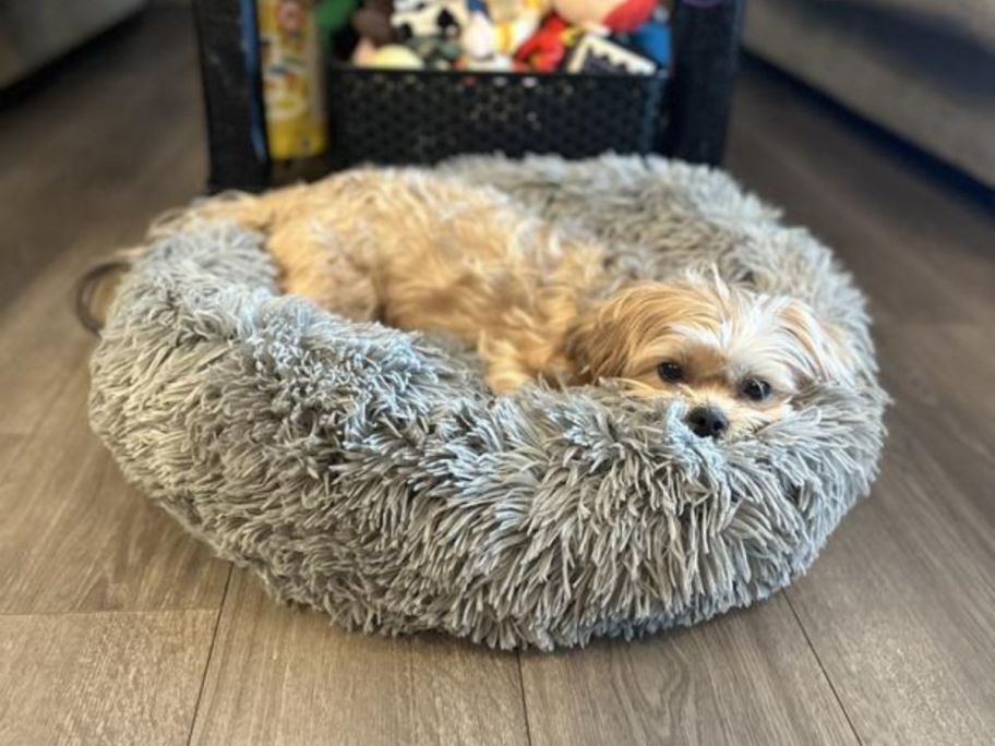 FurHaven-Calming-Cuddler-Long-Fur-Small-Donut-Dog-Bed-2 سرير كلب مهدئ عالي الجودة على شكل كعكة دونات يتم شحنه عبر Groupon بسعر 18.99 دولارًا فقط