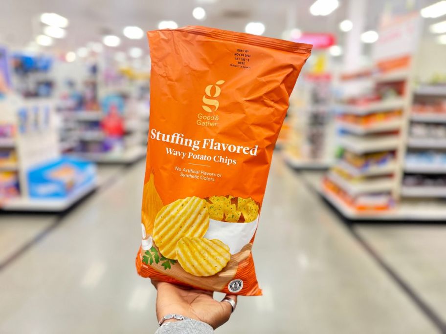 Good & Gather Harvest Turkey Stuffing Flavored Potato Chips