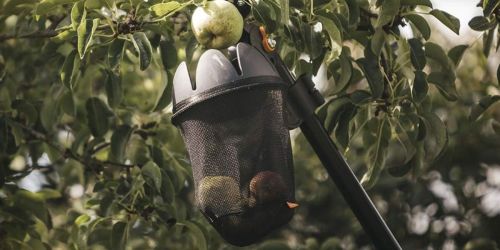 Fiskars Fruit Picker Basket Only $11.97 on Amazon (Regularly $20)