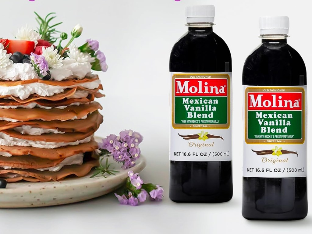 Molina Mexican Vanilla Blend 16.6oz Bottle