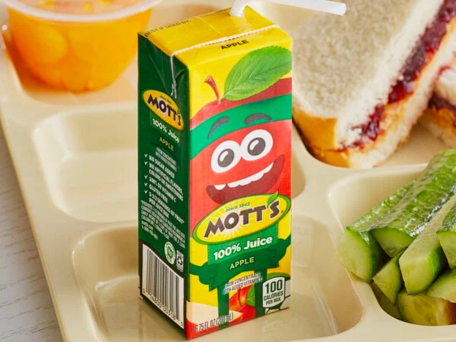 mott's original apple juice box