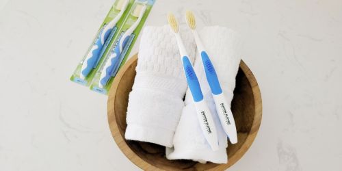 Flossing Toothbrush 2-Pack Only $7 Shipped for Amazon Prime Members (Floss While You Brush!)