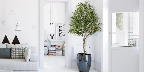40% Off Faux Olive Trees on Amazon + Free Shipping | No Green Thumb Needed!