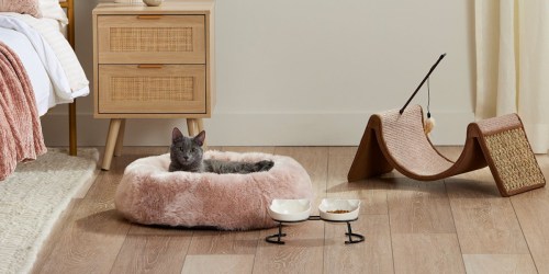 PetSmart Cat Beds, Bowls, & More from $7.99 (+ Members Earn 4X Treats Points!)