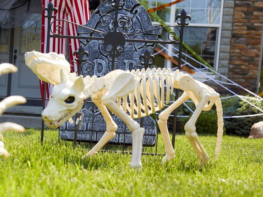 Place & Time 38" Halloween LED Animated Two-Headed Dog Skeleton on lawn