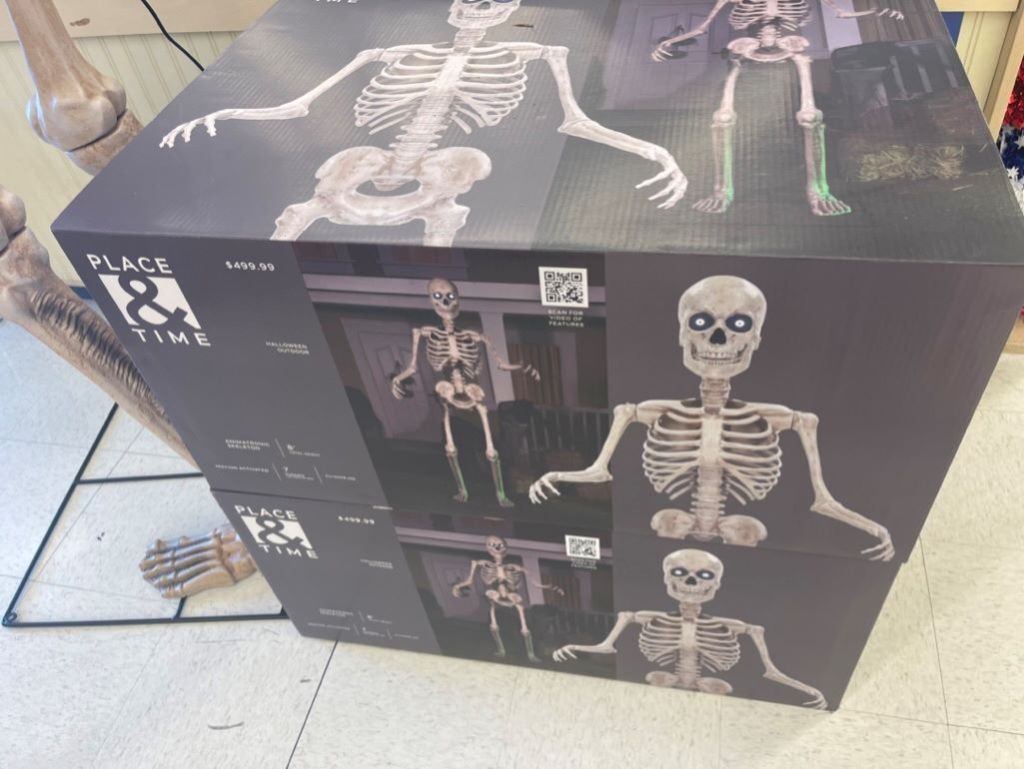 Boxes for a large animated skeleton